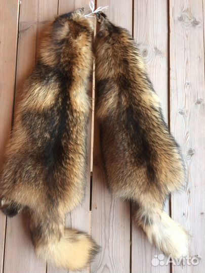 Шкуры енота