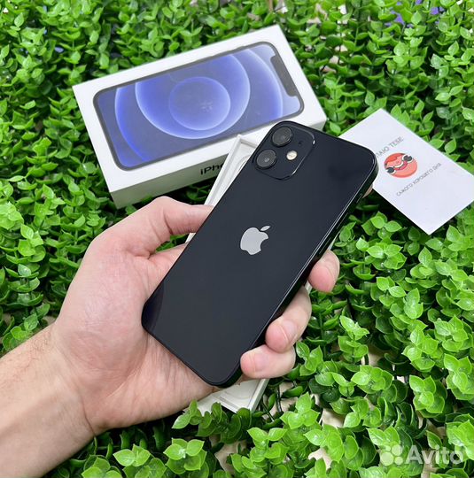 iPhone 12 mini, 256 ГБ