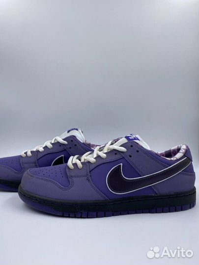 Nike Dunk Low SB x Concepts Purple Lobster