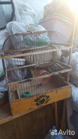 Клетки для попугайчиков