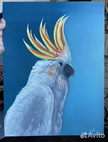 Картина «Попугай»