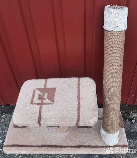 Переноска и туалет для кошки