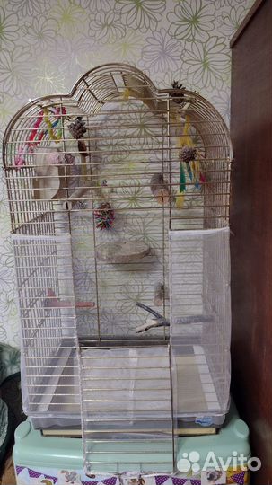Продаю клетку для средних попугаев