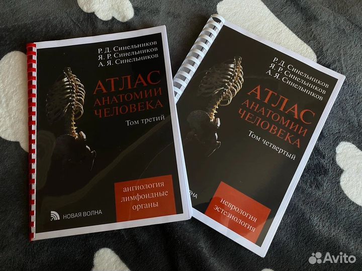 Атлас анатомии человека. Синельников