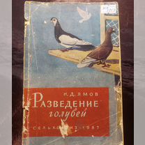 Разведение голубей 1957 И.Ямов