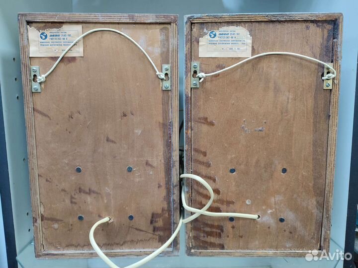 Акустические колонки вега 25 ас-101