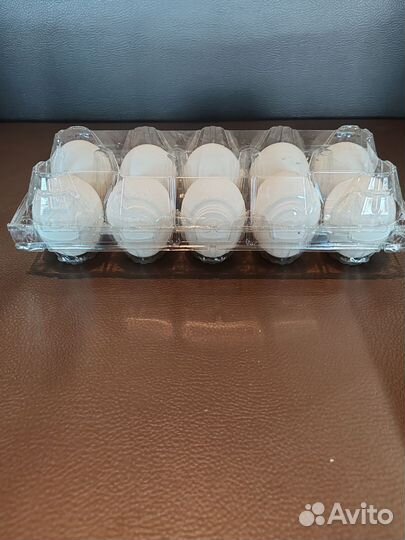 Молоко оптом и в розницу