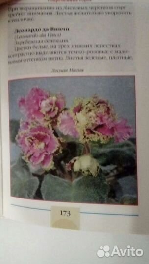 Книга о фиалках