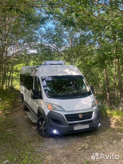 Городской автобус FIAT Ducato, 2015