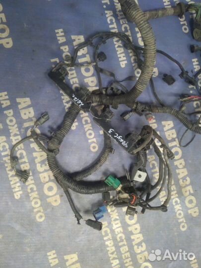 Проводка подкапотная Ford Focus 3 седан pnda 2012