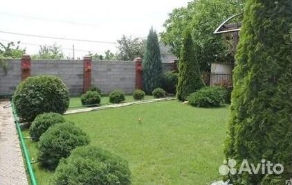 Укладка Рулонного газона