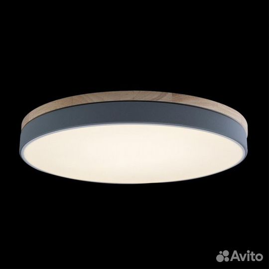 10001/36 Grey Потолочный светильник loft IT Axel