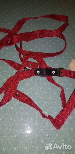 Шлейка с поводком для собак