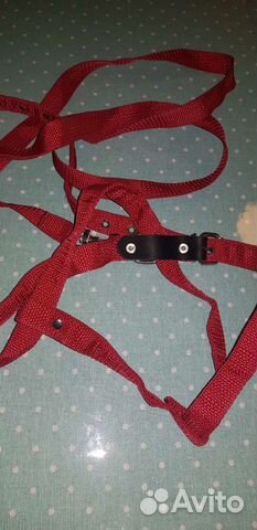 Шлейка с поводком для собак