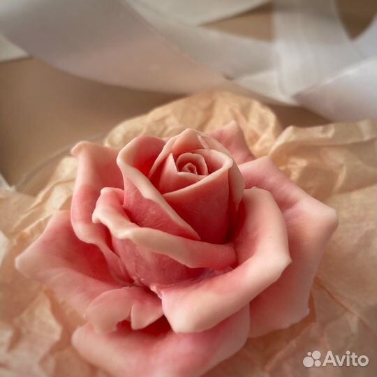 Роза подарок цветы