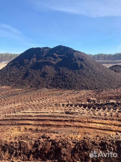 Плодородный грунт сеяный. Плодородная земля