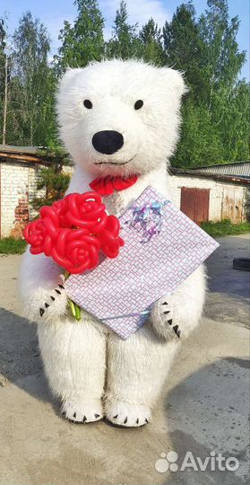 Мишка Топтышка и Барри
