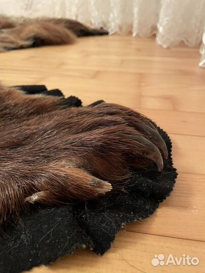 Шкура медведя