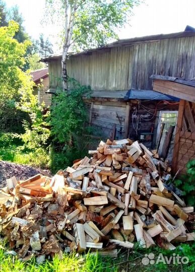 Дрова Береза привезем в Сертолово