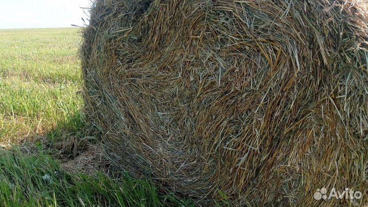 Сено/солома