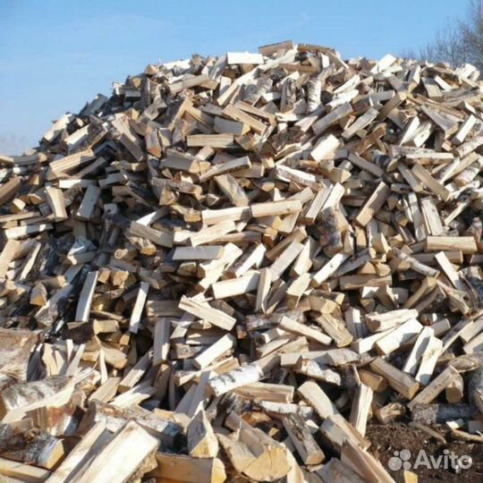 Дрова береза