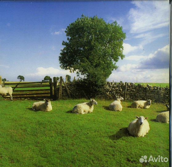 KLF chill OUT LP альбом Пластинка