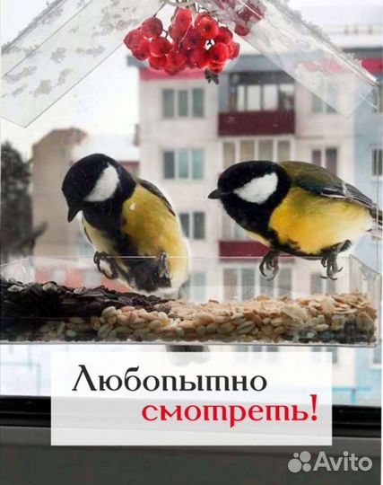 Кормушка на окно