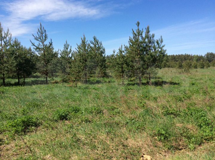 Участок 3 га (СНТ, ДНП)