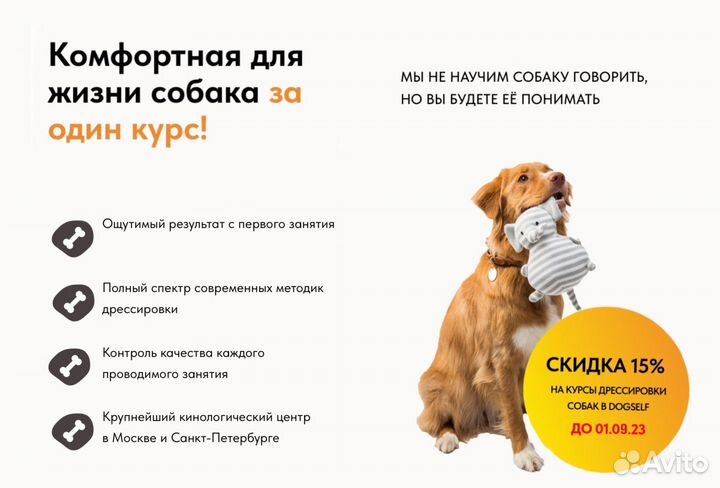 Кинолог с выездом / Курсы дрессировки собак