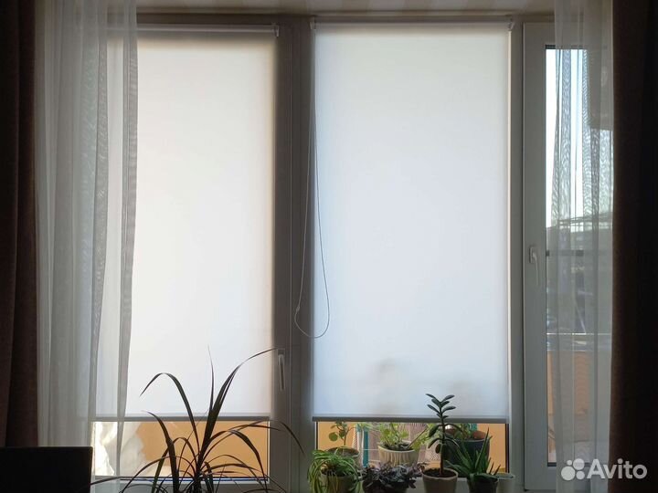 Жалюзи и рулонные шторы на окна