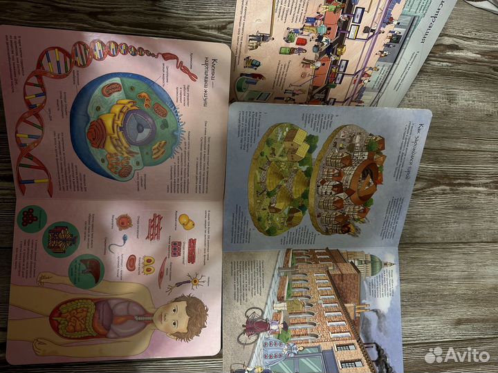 Детская энциклопедия супер-окошки Человек