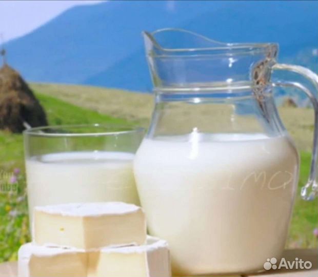 Молочные продукты