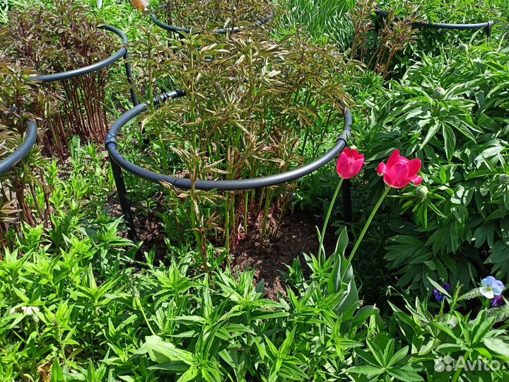 Кустодержатели от производителя