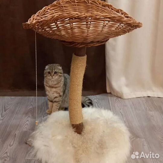 Когтеточка для кошек плетёная