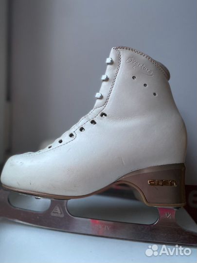 Коньки Edea Overture 225 Mark IV