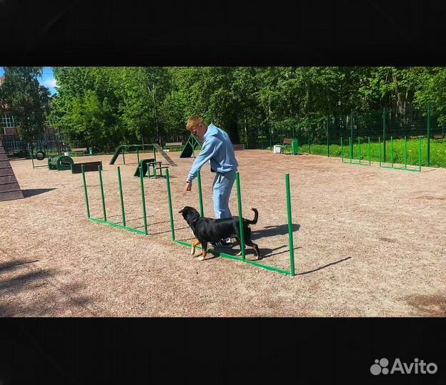 Кинолог / Зоопсихолог