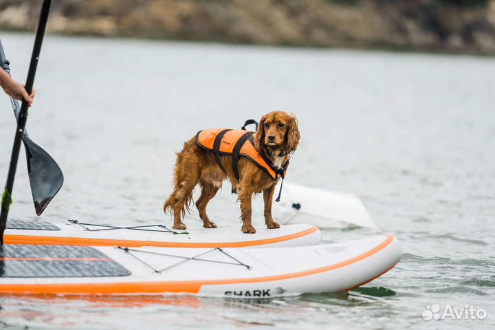 Сап борд sup доска shark touring kids 10'6