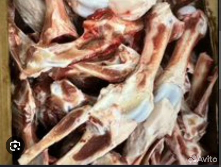 Отдам бесплатно кости для собак много, самовыаоз