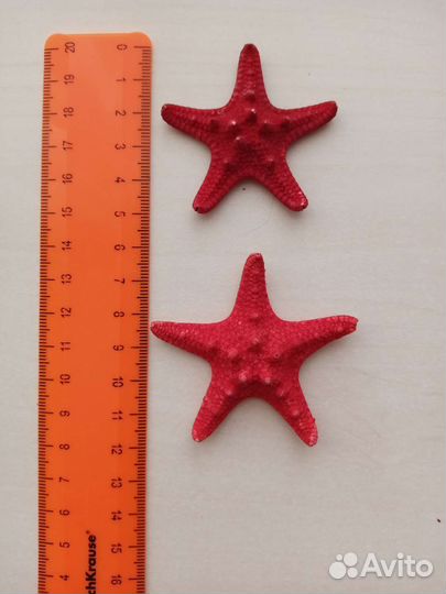 Морские звёздочки