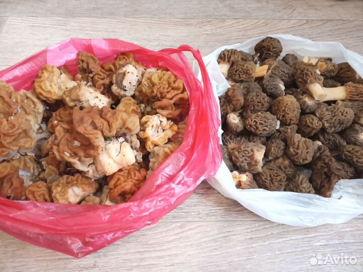 Свежие Грибы и сушеные и маринованые,грибная икра