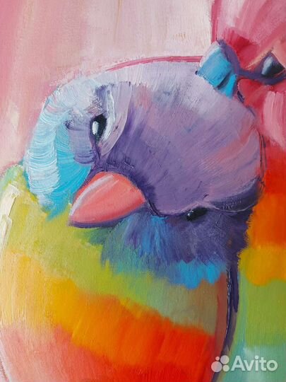 Картина маслом Радужные неразлучники