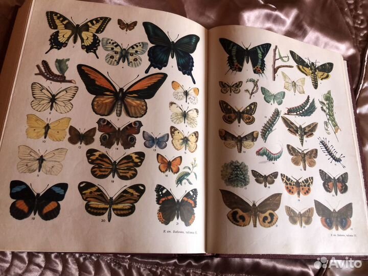 Большая советская энциклопедия 1970 г