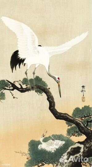 Педагог по китайскому языку