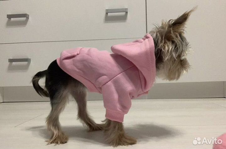 Одежда для собак