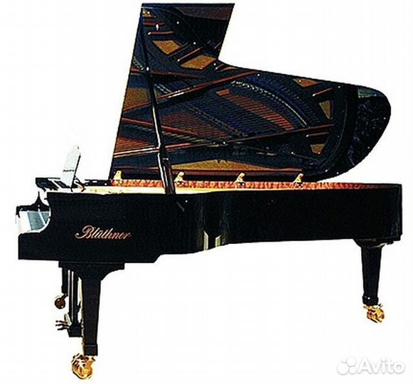 Рояль Bluthner Model 1