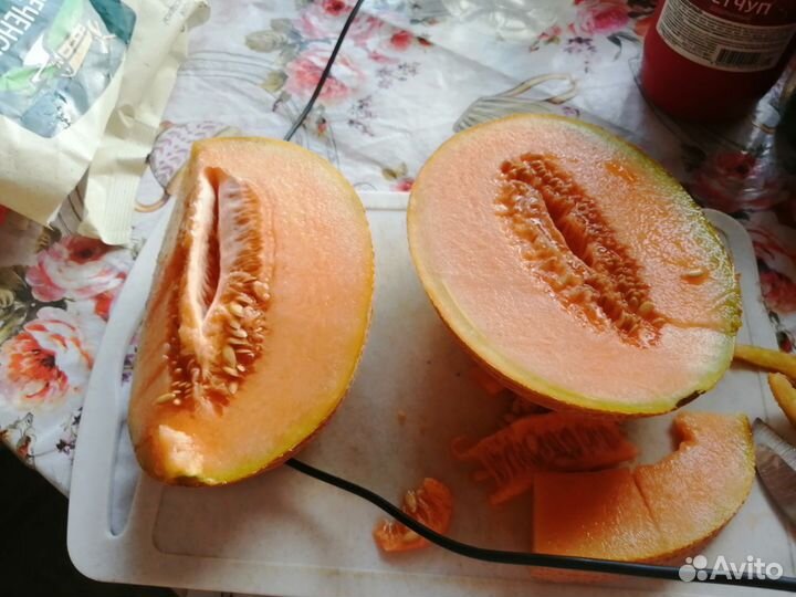 Семяна дыни