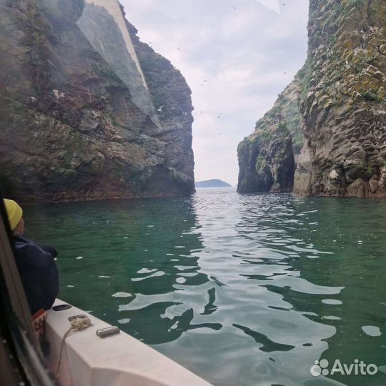 Морские прогулки на катере