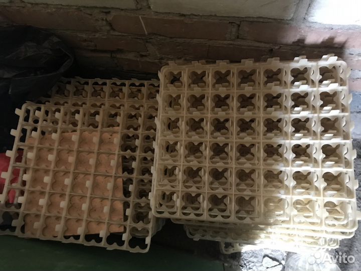 Инкубатор на 3000 яиц, автоматический