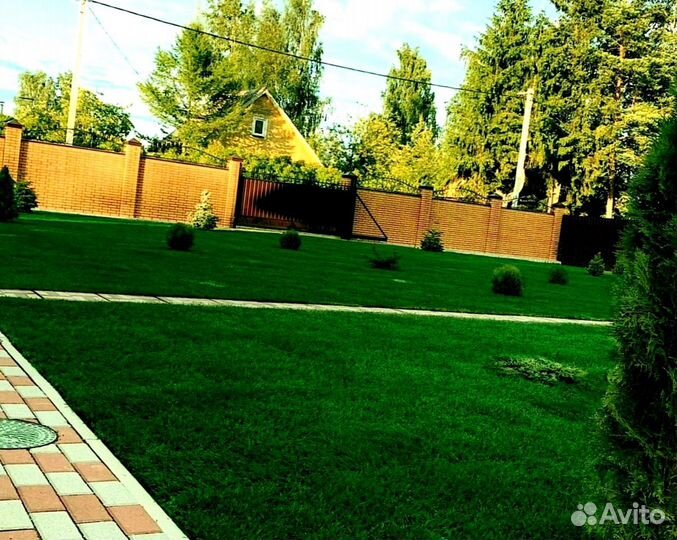 Рулонный газон