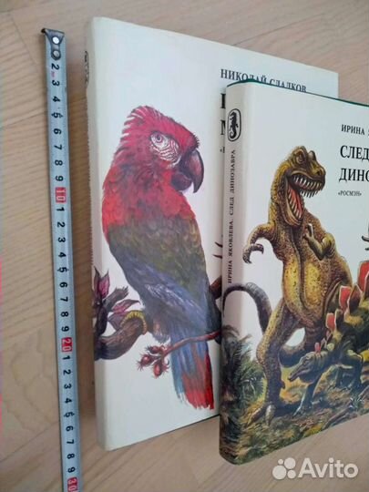 Детские познавательные книги